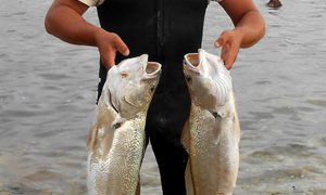 Mooi vangs by Uilenkraalsmond